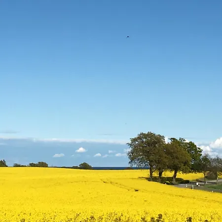 Kluvetasch Nr 2 - Strandmuschel Appartement