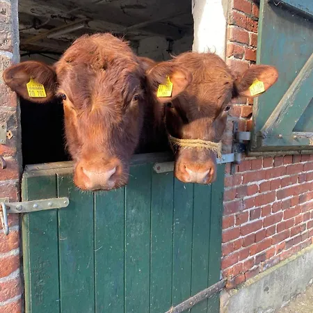 Kluvetasch Nr 2 - Strandmuschel Appartement *